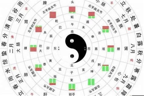 算5行|生辰八字算命、五行喜用神查询（免费测算）